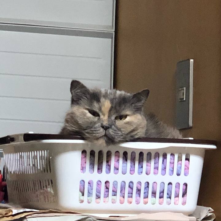 0dfcc01d 24db 4511 a93c 00037ee98982 1667215266474