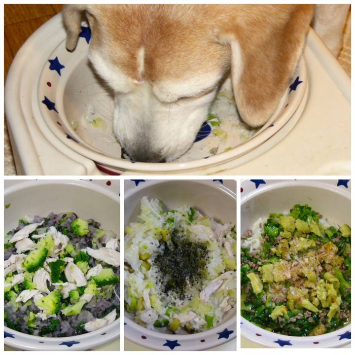 0dfce2c6 fbc6 4f38 8251 93dac579aca5 1677804526547