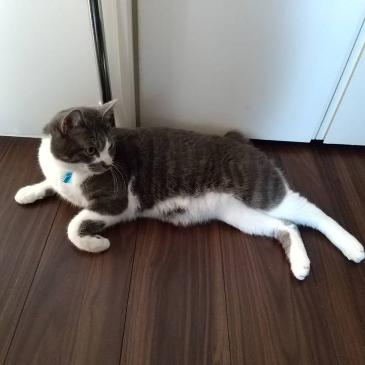 0dfd0849 51fe 4757 afd1 7bec9d0f0bfb 1607652405907