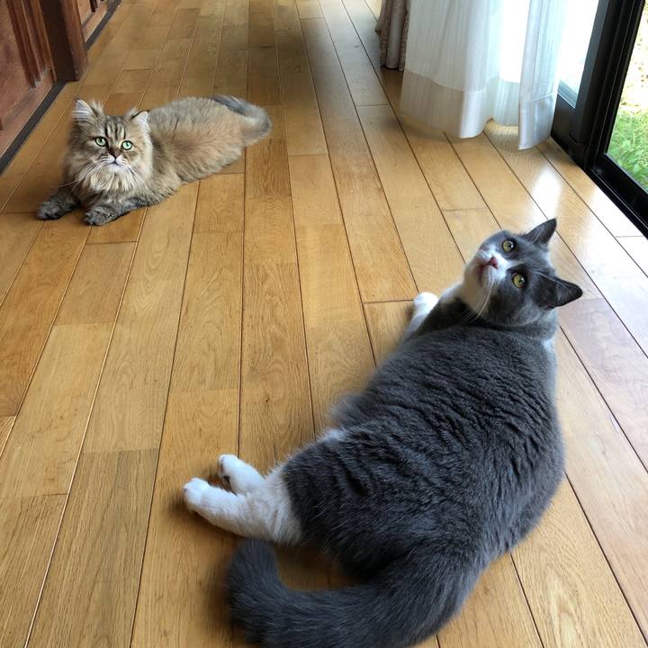 0dfd25d6 907a 4657 ae46 3bbc9de7e763 1566609120563