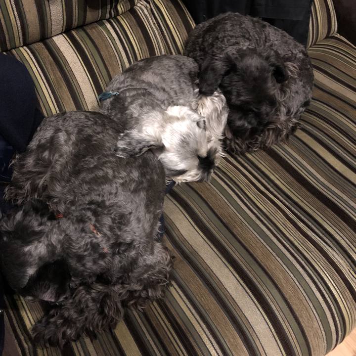 0dfd325e f1ad 4ee3 a25b d9c217b6b825 1581514313241