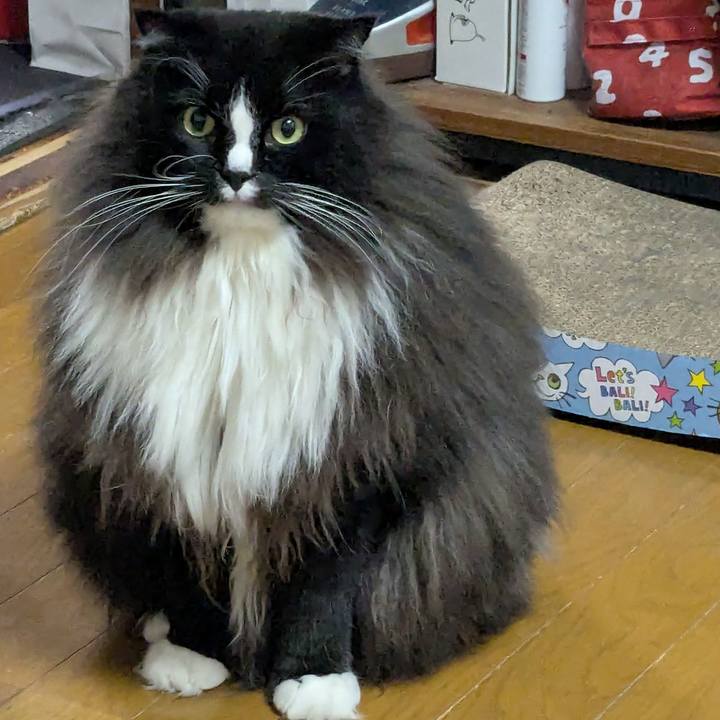 0dfd4e04 6a18 47ab 9829 b464ea2c51f1 1761312749254