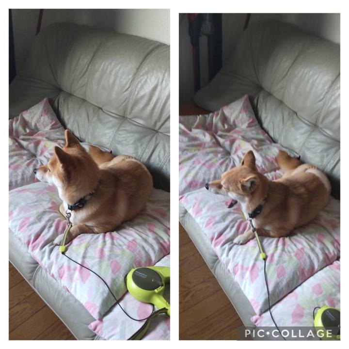 0dfd5957 2c61 4ff4 8b6d 5423f82af431 1705882092698