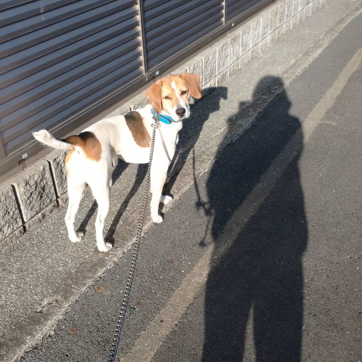 0dfd7160 946f 4b93 aa70 666c7a36ac21 1614411104784