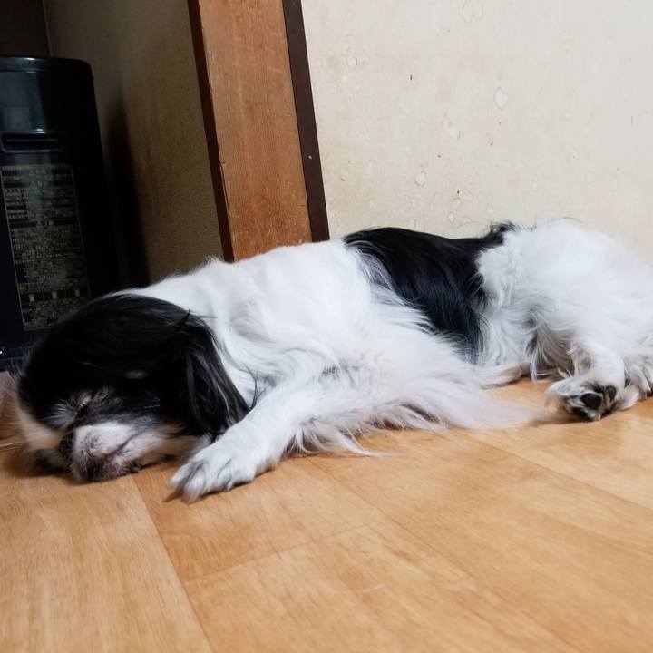 0dfd76ac 9782 4ab5 a89e 8e104f30d8b8 1550575319719