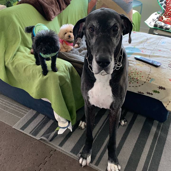 0dfd834b 6f8f 42ff 9258 9da86959a40e 1555540692039