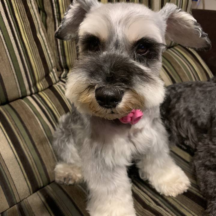 0dfd87a0 bc03 4310 93c5 9257439d1487 1591952245070