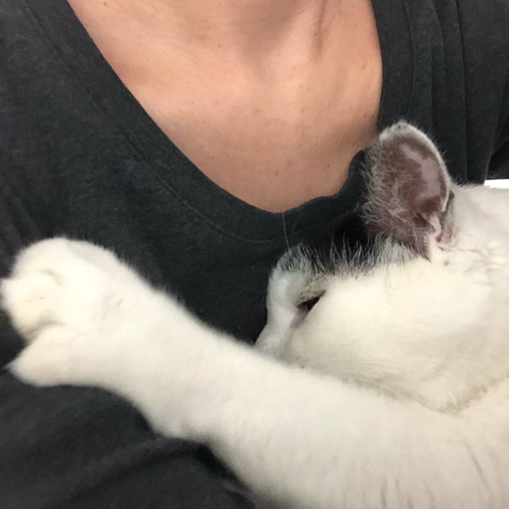 0dfdaa62 e922 496e 9c4a 54c6d15dbf83 1574825487116