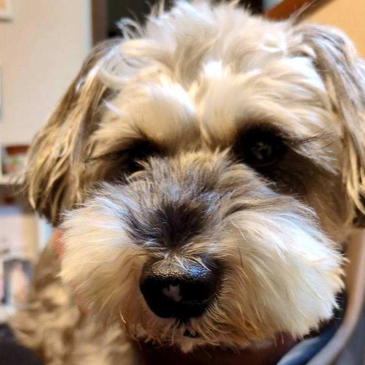 0dfddd43 a40a 48bb 8490 87c0d7163626 1762269275479