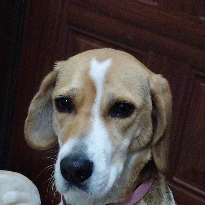 0dfdf0c9 3367 4b49 8073 8cfa29fda24e 1575726600070