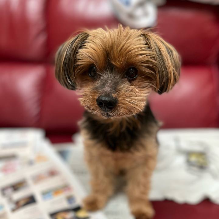 0dfe00ab 3a69 41cd 905e 1cbcea45ed51 1642558873434