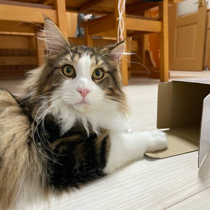 0dfe31c7 de5d 45e7 a86b 6156210883f8 1643234289500