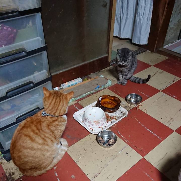 0dfe6e76 eca0 46f7 b837 8ac47e6656d5 1603831991596