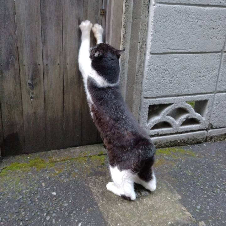 0dfe797b 4db3 4a12 b33b 32b9fd6ced1b 1708417522899