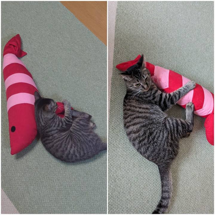 0dfea25c 448f 419f b52d c218f386a105 1715216227967