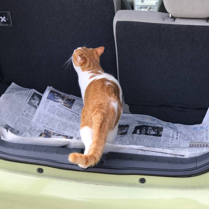 0dfea9cd 7f1b 4d8c a4d6 41a8f090b46a 1531127142246