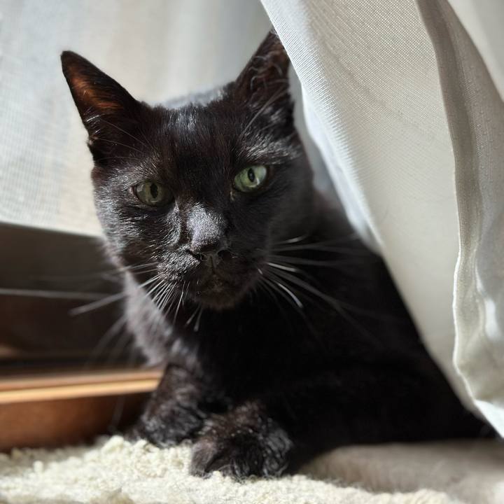 0dfeabf6 2a8a 4b55 aa5e 118d17576b5d 1663983657339