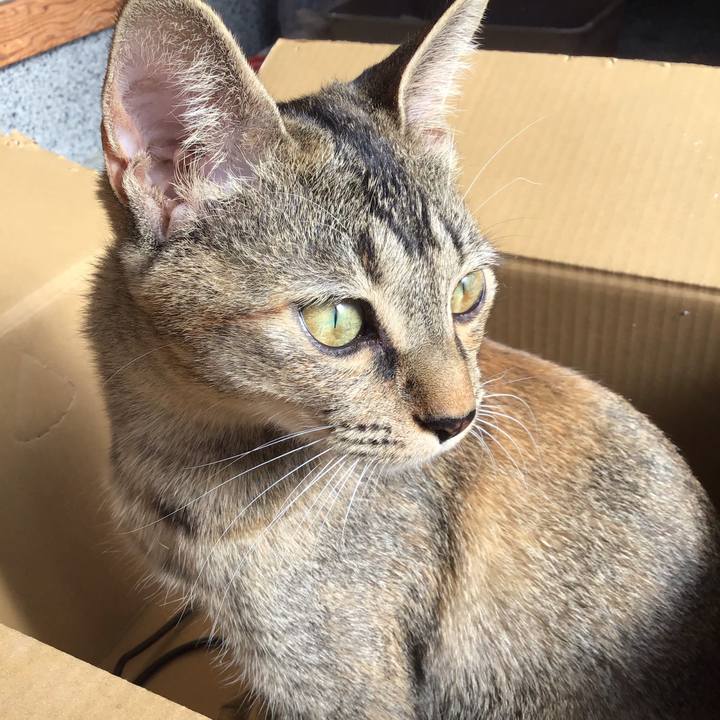 0dff015e 2745 4c1d b43c 1de070dffc79 1574562521675