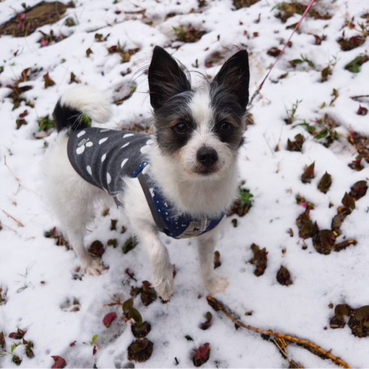 0dff0604 07df 47ce aecc a13e4a1ec91f 1585495031066