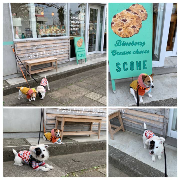 0dff4982 1221 4c96 a85b 545ef1e26a25 1576375805278