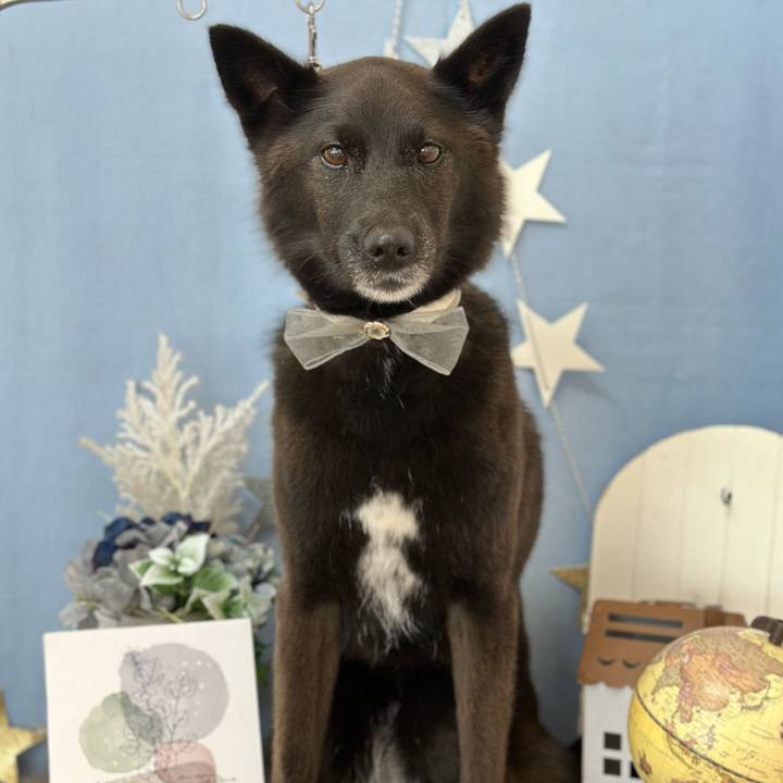 0dff8472 e968 4c6e 994a f0dffb8d444b 1720656334117