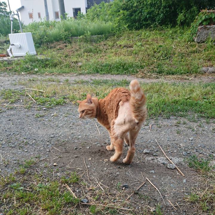 0dffcec0 1c6d 40e5 8ee1 f12439774778 1654117547240