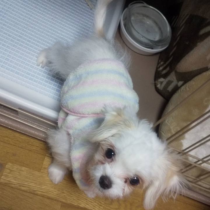 0dffe305 ddbc 40ac a048 054e79b44cdf 1672045053506