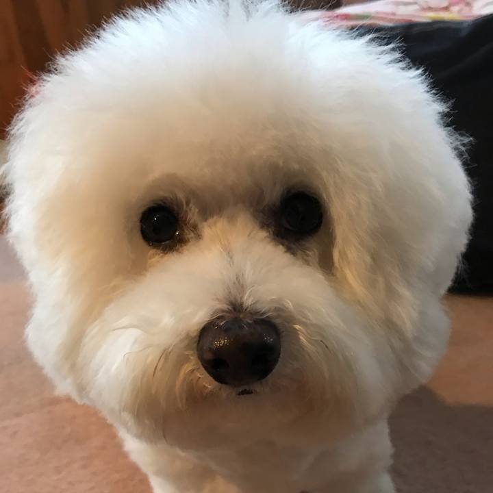 0dfff7e8 4a6b 43c2 957d 39d54a897ac1 1583048255550