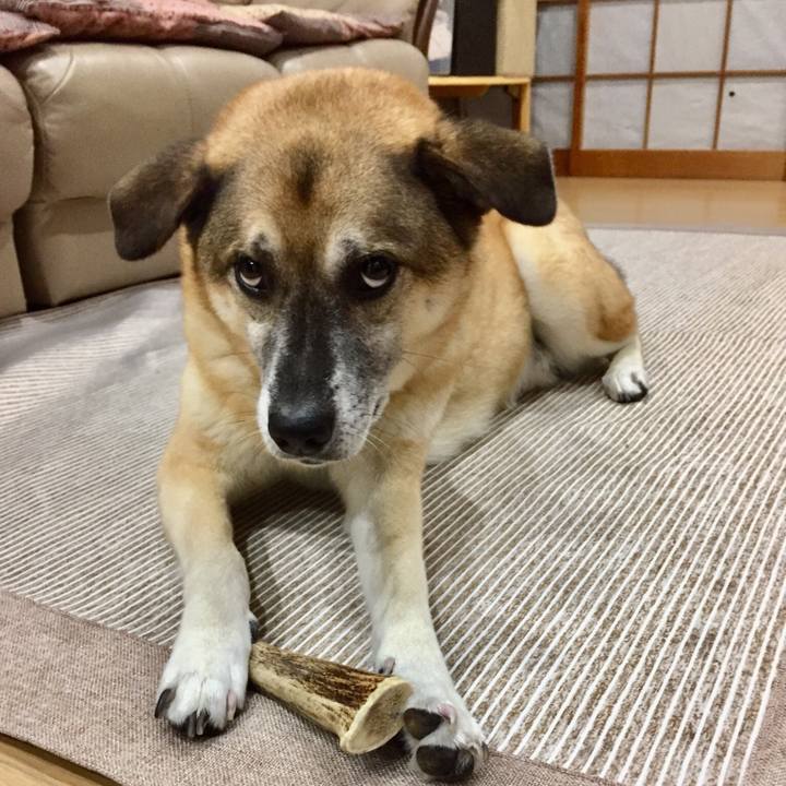 0e0014b1 a55f 4737 9d85 0969d129dd37 1537612150743