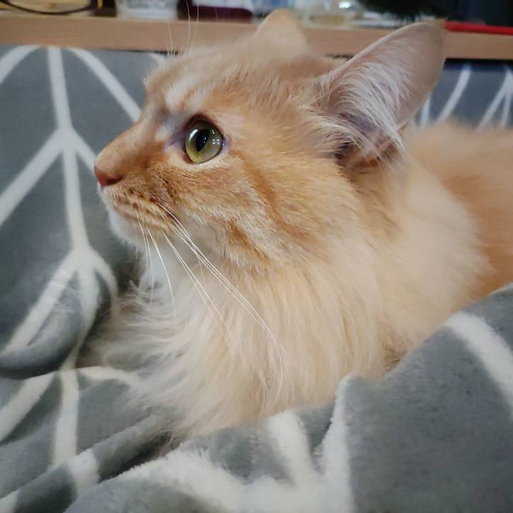 0e0054e9 d9cc 4f3e 92ca a314a2ae32f7 1709453177864