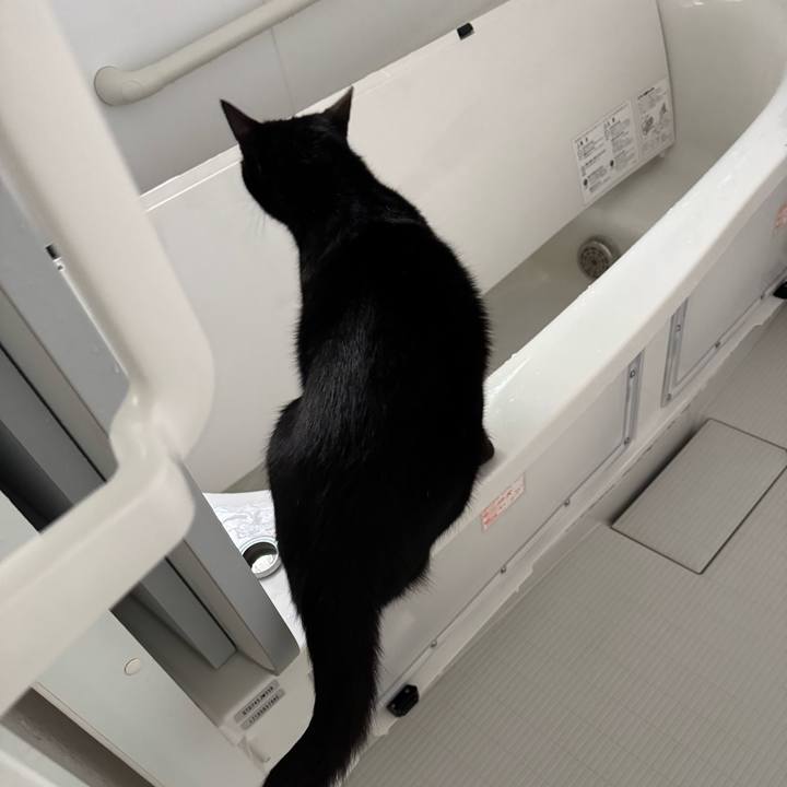 0e0056c6 d86d 4b62 98bb d48d29c96dca 1748664824261