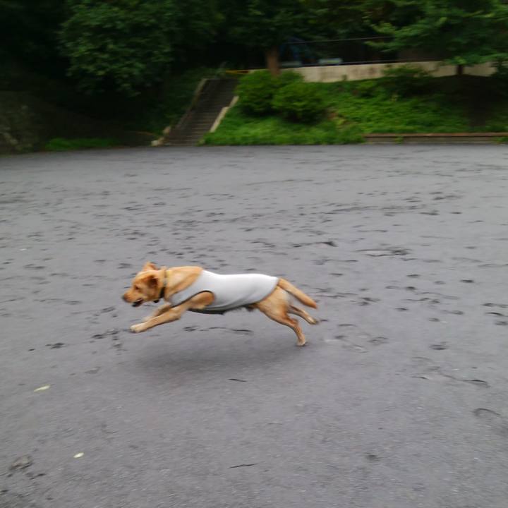 0e005a57 9dda 4305 84e4 ffb9ff58f649 1533770715023