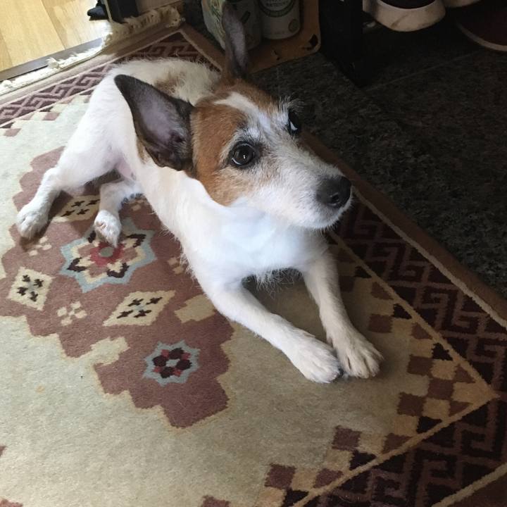 0e006c1f 9abf 44c2 8994 ee1f7b1f1df0 1598311782800