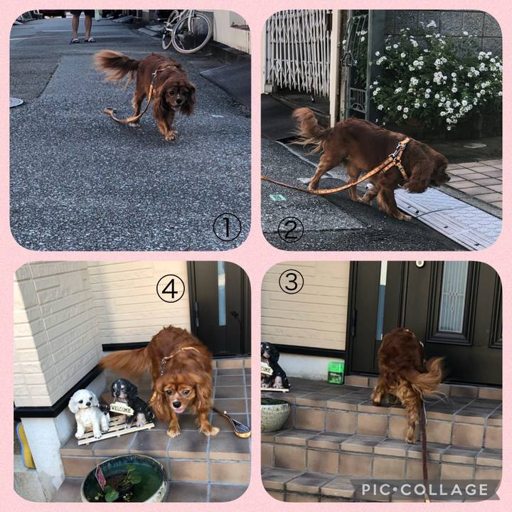 0e007a4b 2260 4497 9cc8 1c8d02e1d4ca 1633737548847