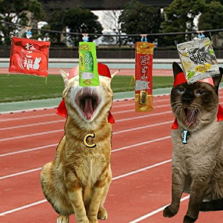 0e00b26a 3d2a 4ad7 8526 0278f5fec7f6 1539431884886