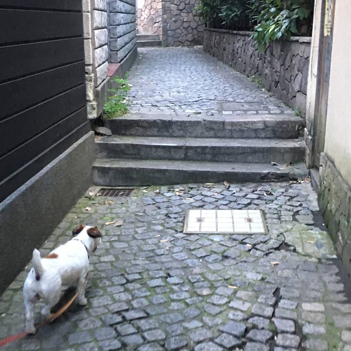 0e00e939 a08c 4270 b132 3447a242cf30 1534292519346