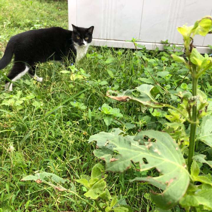 0e01143f 95a0 4b1a 9336 8706c153a31a 1599952401414