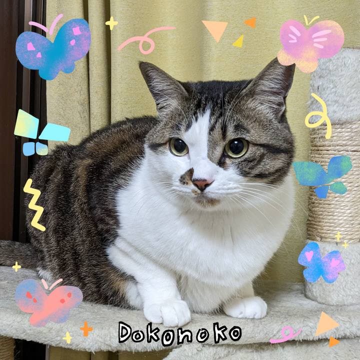 0e011812 9358 465c aabc 7c6d03f531b3 1711019972008