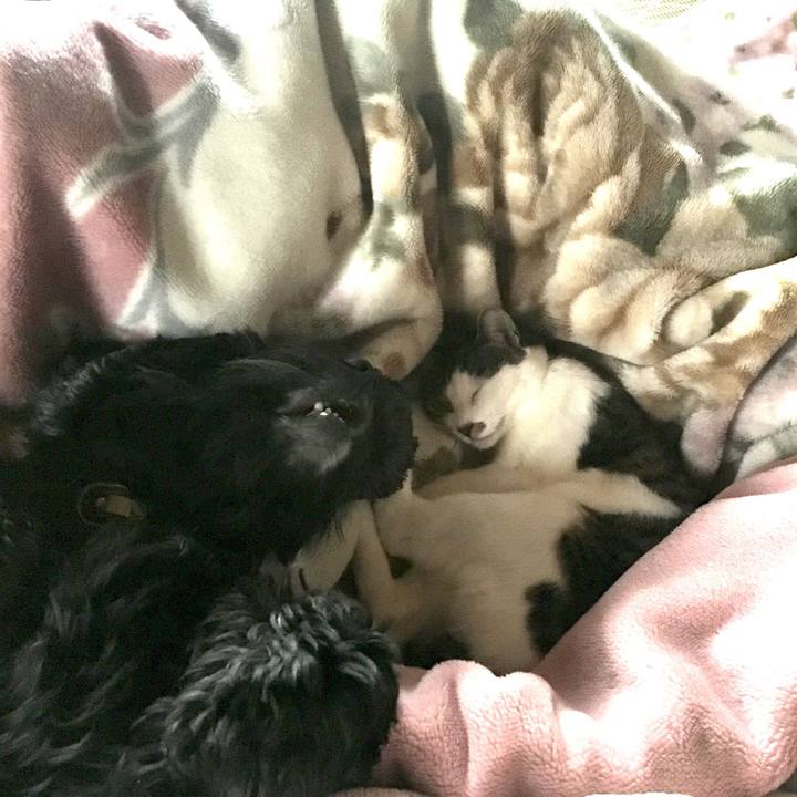 0e0132a4 4b8a 4f09 ab82 f97a3d06a0f9 1538011045693