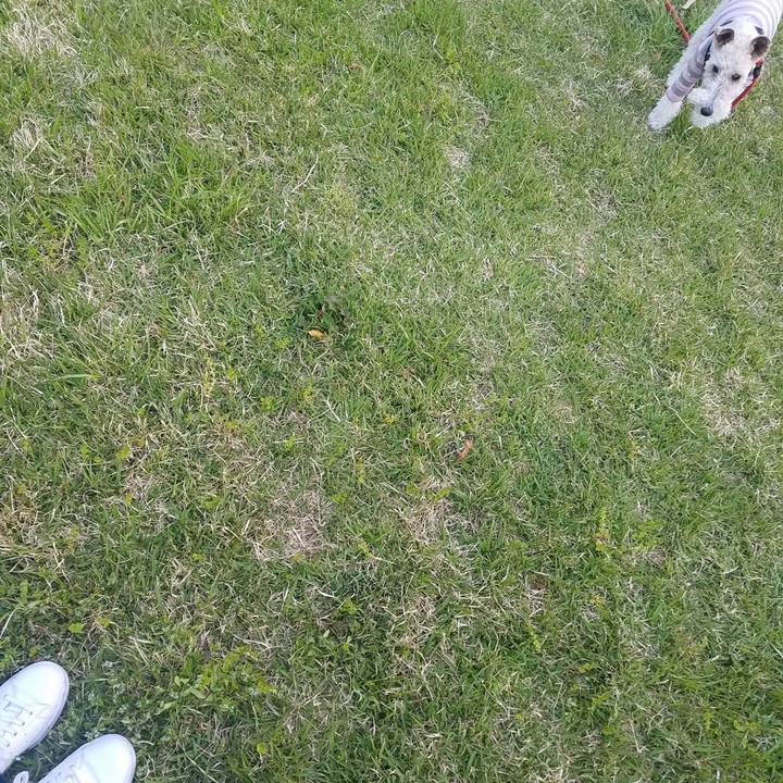 0e013470 e49b 437a 95ba 819c71543934 1586732639158