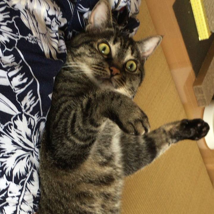 0e015ee5 c139 440e 8522 c72f15e47f1e 1533872173915