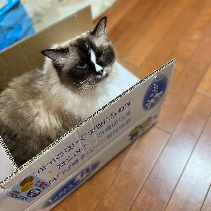 0e0195ee 19ba 4134 9f33 403c8cbe38d1 1695473851647