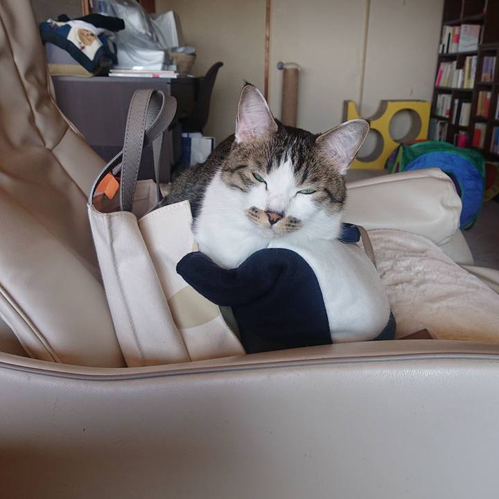 0e01b8c7 a4b8 49df b3f8 93013844f96c 1700360782975