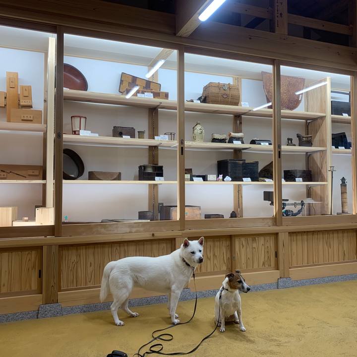 0e01d67d d8d7 4ac2 8c34 e5041a9ccb66 1541933869986