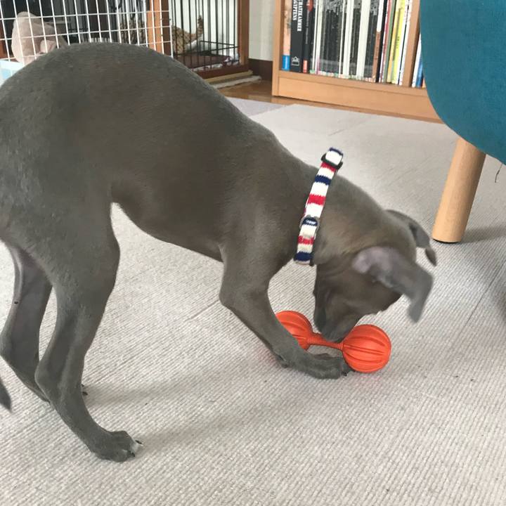 0e01e3e2 0fff 4464 bd5e 23a769166d5f 1763246074732