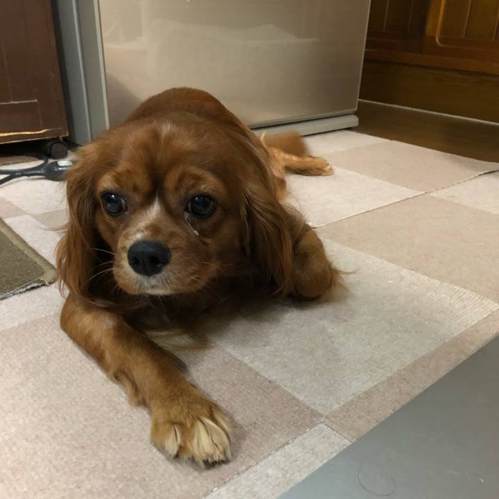 0e020db8 e66d 40d6 bbd2 3ab8a2a80cc6 1531403875123