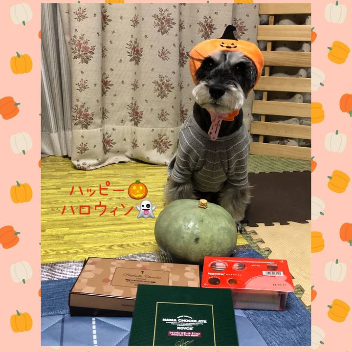 0e021692 1932 40a8 b7b9 1fa1498f6bdd 1667211695992