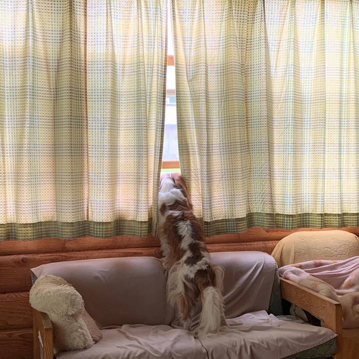 0e022282 b7a2 4d0f b40b 75f7bf8b25a9 1591338417409