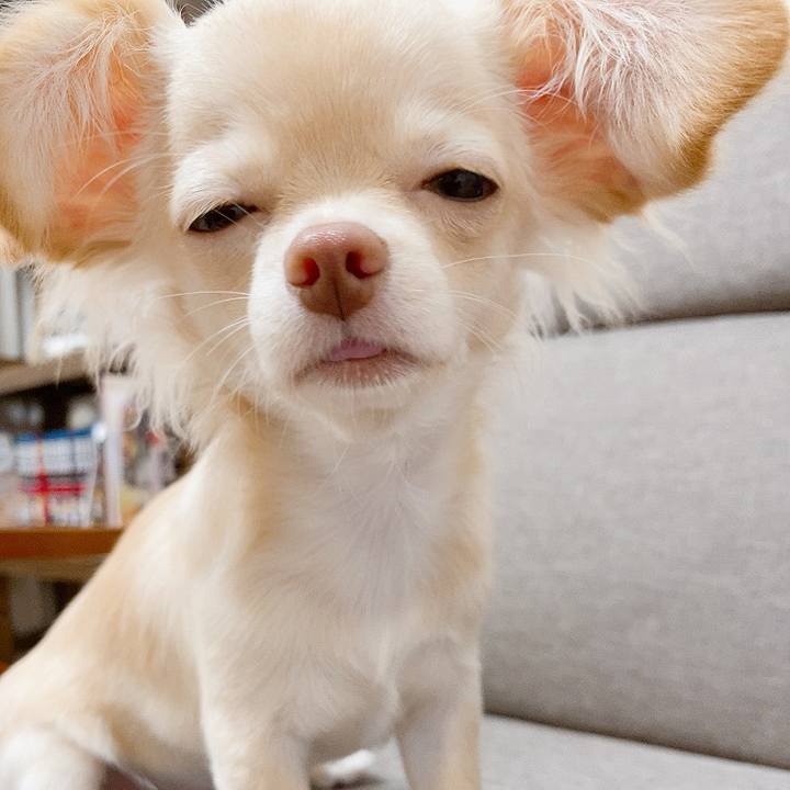 0e0242f4 a6e0 4424 8c2b 439a7b669873 1596027593410