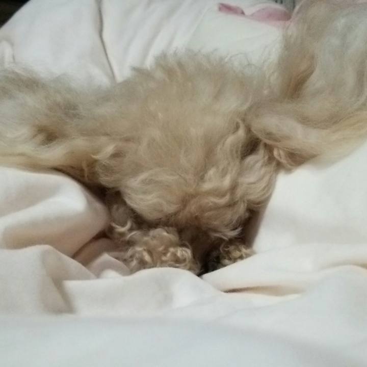 0e02a5df 7bbd 4be4 94f0 72cb63327172 1531056088934